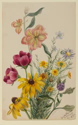 Grupp av blommor