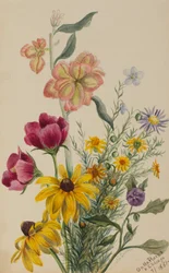 Grupp av blommor, 1881.