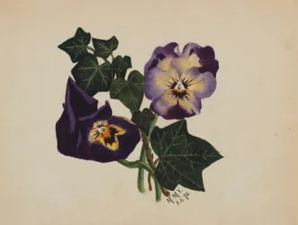 Utan titel (Penséer och murgröna)