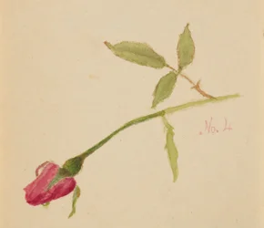 Utan titel (ros)
