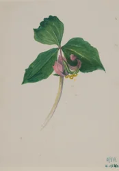 Utan titel