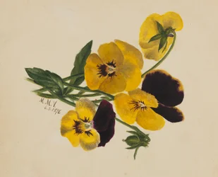 Utan titel penséer, 1876.