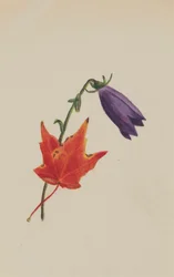 Utan titel, ca. 1876.