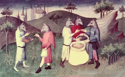 Människor i Andaman cynocephali