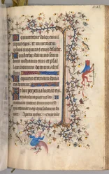 Timmar av Karl den ädle, kung av Navarra (1361-1425): fol. 216r, Text