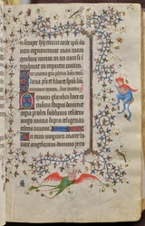 Timmar av Karl den ädle, kung av Navarra (1361-1425): fol. 31r, Text