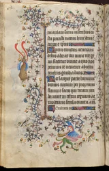 Timmar av Karl den ädle, kung av Navarra (1361-1425): fol. 31v, Text