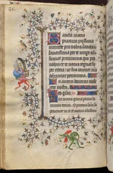 Timmar av Karl den ädle, kung av Navarra (1361-1425): fol. 43v, Text