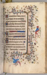 Timmar för Karl den ädle, kung av Navarra 1361-1425: fol. 216r, Text, c. 1405.