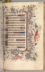 Timmar för Karl den ädle, kung av Navarra 1361-1425: fol. 225r, Text, ca. 1405.