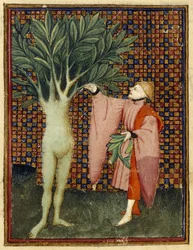 Apollo och Daphne