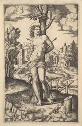 Sankt Sebastian bunden till ett träd genomborrat av pilar, 1530-60.