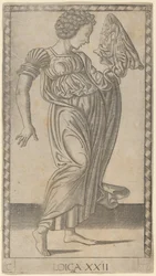 Loica (logik)