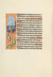 Hours of Queen Isabella the Catholic, Queen of Spain: Fol. 108v, c. 1500.
