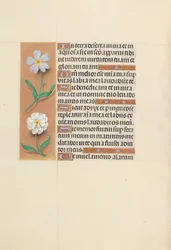 Hours of Queen Isabella the Catholic, Queen of Spain: Fol. 117v, c. 1500.