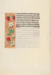 Hours of Queen Isabella the Catholic, Queen of Spain: Fol. 125v, c. 1500.
