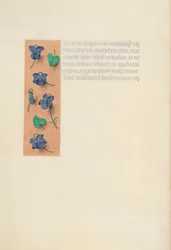 Hours of Queen Isabella the Catholic, Queen of Spain: Fol. 16v, kort kant, ca. 1500.