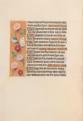 Hours of Queen Isabella the Catholic, Queen of Spain: Fol. 209v, c. 1500.