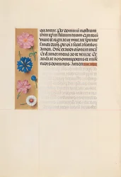 Hours of Queen Isabella the Catholic, Queen of Spain: Fol. 218v, de dödas kontor, c. 1500.