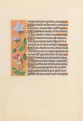 Hours of Queen Isabella the Catholic, Queen of Spain: Fol. 239v, c. 1500.
