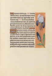 Hours of Queen Isabella the Catholic, Queen of Spain: Fol. 244r, c. 1500.