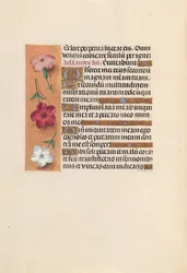 Hours of Queen Isabella the Catholic, Queen of Spain: Fol. 246v, c. 1500.