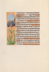 Hours of Queen Isabella the Catholic, Queen of Spain: Fol. 254v, c. 1500.