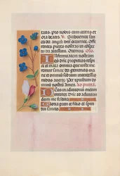 Timmar av drottning Isabella den katolska, drottning av Spanien:  Fol. 38v