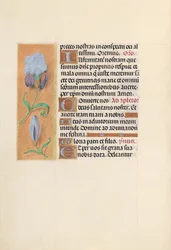 Hours of Queen Isabella the Catholic, Queen of Spain: Fol. 41v, c. 1500.