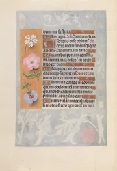 Timmar av drottning Isabella den katolska, drottning av Spanien:  Fol. 57v