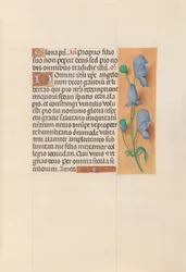 Hours of Queen Isabella the Catholic, Queen of Spain: Fol. 60r, c. 1500.