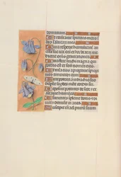 Hours of Queen Isabella the Catholic, Queen of Spain: Fol. 75v, c. 1500.