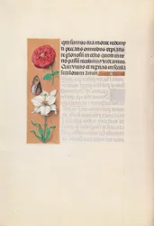 Timmar av drottning Isabella den katolska, drottning av Spanien:  Fol. 76v