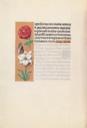 Hours of Queen Isabella the Catholic, Queen of Spain: Fol. 76v, c. 1500.