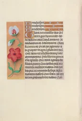 Hours of Queen Isabella the Catholic, Queen of Spain: Fol. 89v, c. 1500.