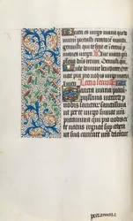 Tidsbok Användning av Rouen: fol. 35v, c. 1470.