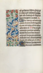 Tidsbok Användning av Rouen: fol. 36v, c. 1470.