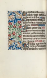 Tidsbok Användning av Rouen: fol. 74v, c. 1470.