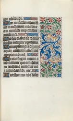 Tidsbok Användning av Rouen: fol. 82r, c. 1470.