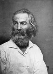 Walt Whitman 1819-1892, amerikansk poet, ca 1880-talet