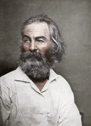 Walt Whitman, amerikansk poet, ca 1880-talet.