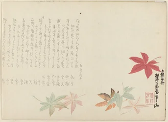 Japansk lönn