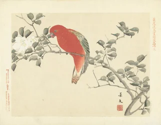 Röd papegoja på gren med vita blommor Flower and Bird Sketches of Keibun - del tre (serietitel) Keibun kacho gafu kohen (serietitel på objekt)