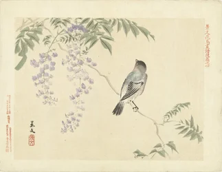 Fågel på blåregn gren Flower and Bird Sketches of Keibun - del tre (serietitel) Keibun kacho gafu kohen (serietitel på objekt)