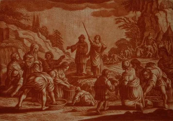 Israeliterna samlar manna, illustration ur en bibel, graverad av Gabriel Bodeneer (1673-1766) (sepia gravyr)
