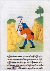 Le Livre des simples medecines - översättning till franska av Matthaeus Platearius latinska manuskript från 1100-talet (pergament)