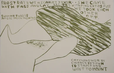 hon kom med bögar, 2009 (litografi)