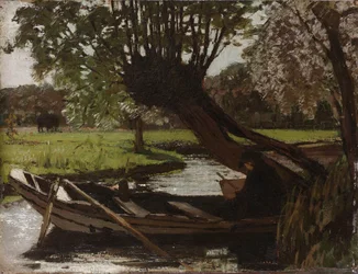 Båt med Pollard Willow