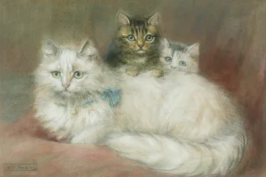 En perserkatt och hennes kattungar