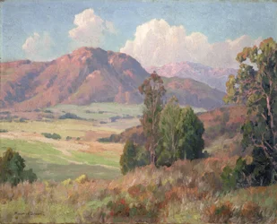San Diego Hills (olja på duk)